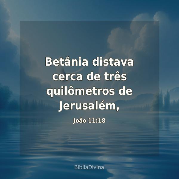 João 11:18