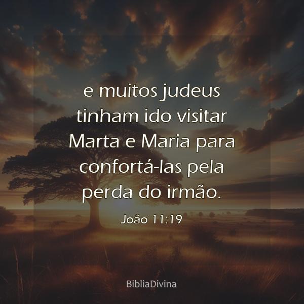 João 11:19