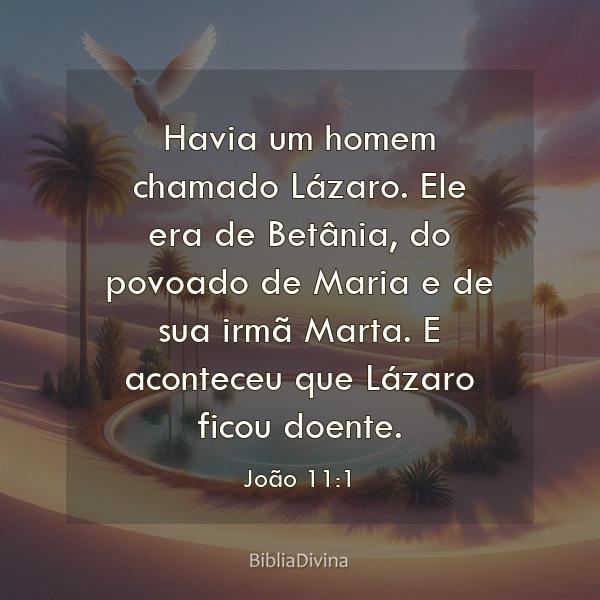 João 11:1