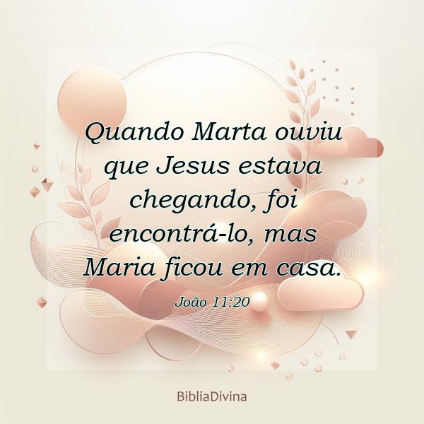 João 11:20