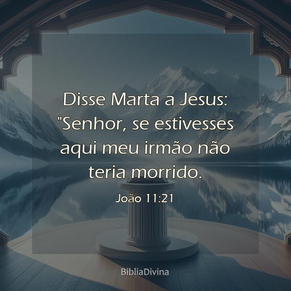 João 11:21