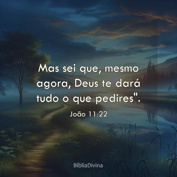 João 11:22