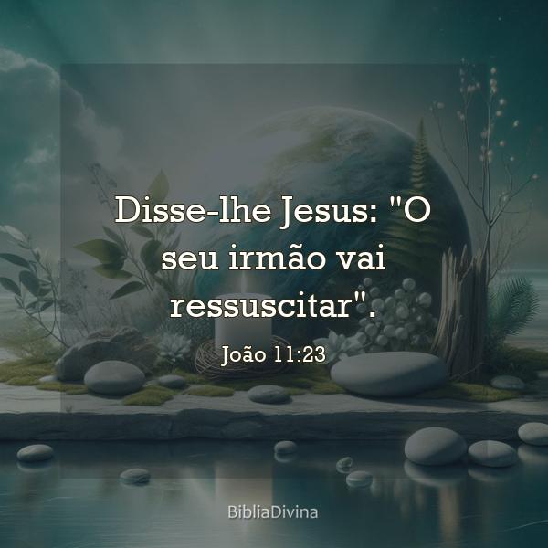 João 11:23