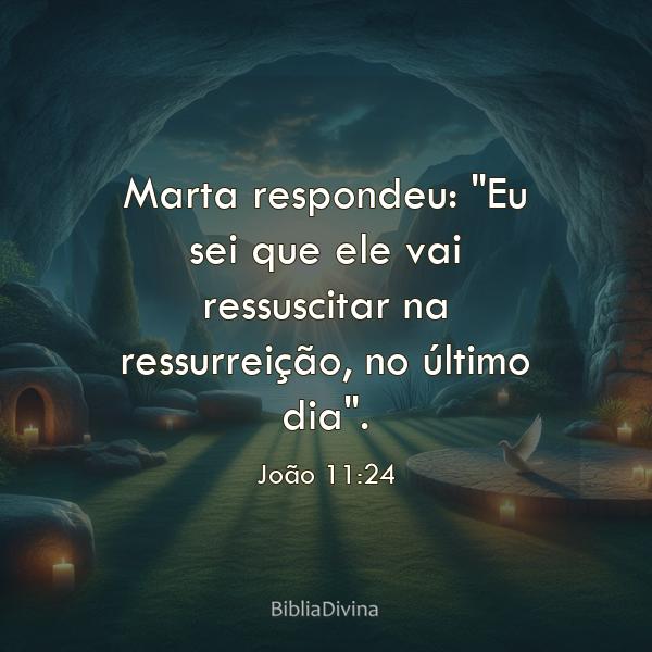 João 11:24