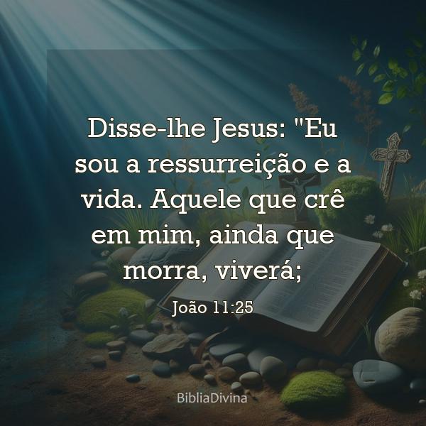 João 11:25