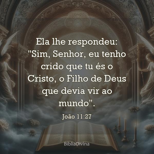 João 11:27