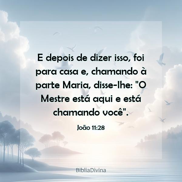 João 11:28