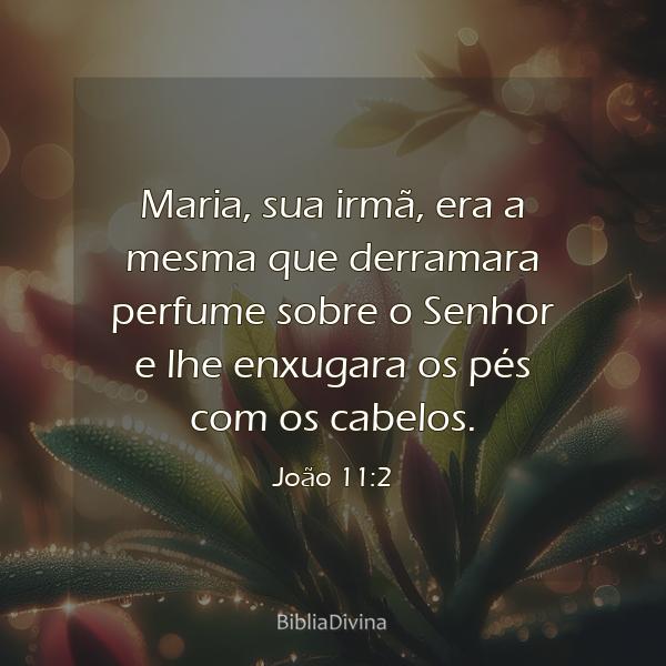 João 11:2