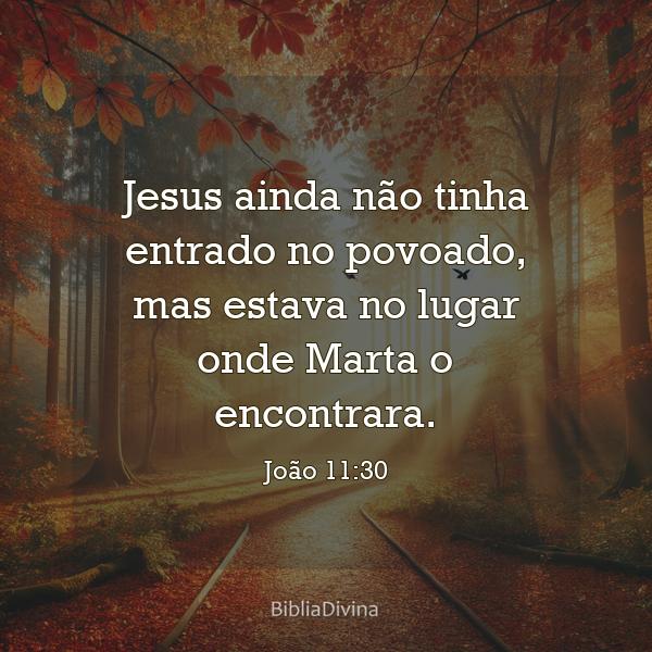 João 11:30