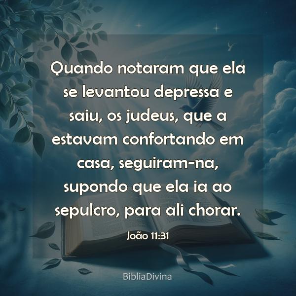 João 11:31