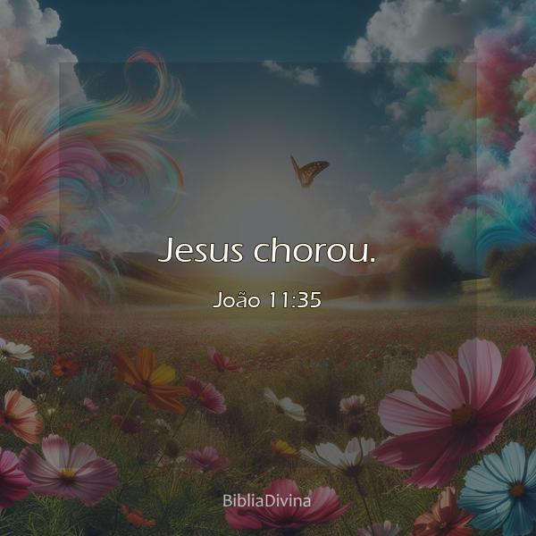 João 11:35