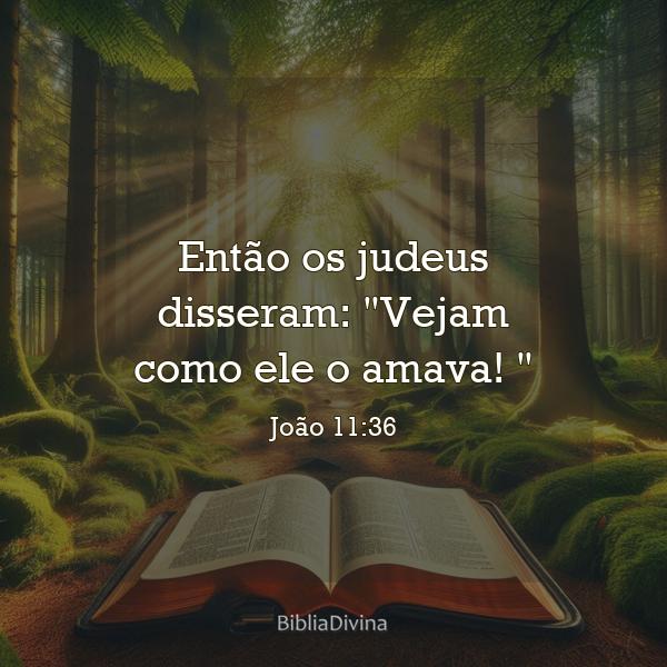 João 11:36