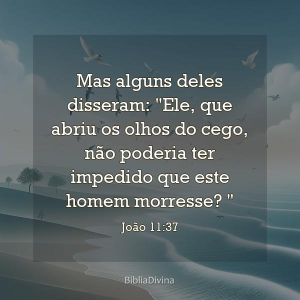 João 11:37