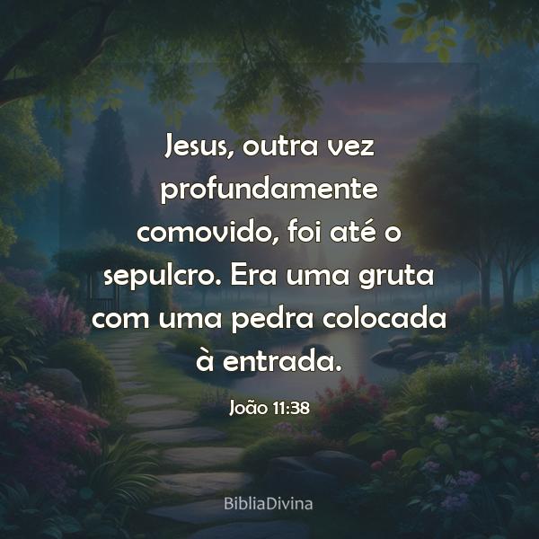 João 11:38