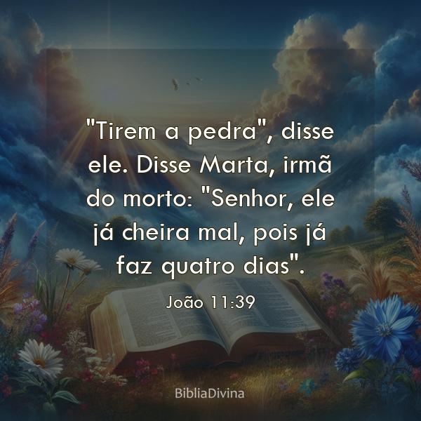 João 11:39