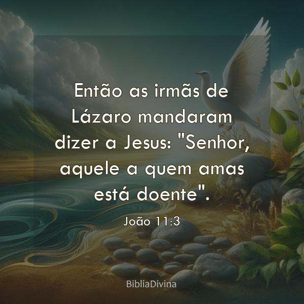 João 11:3