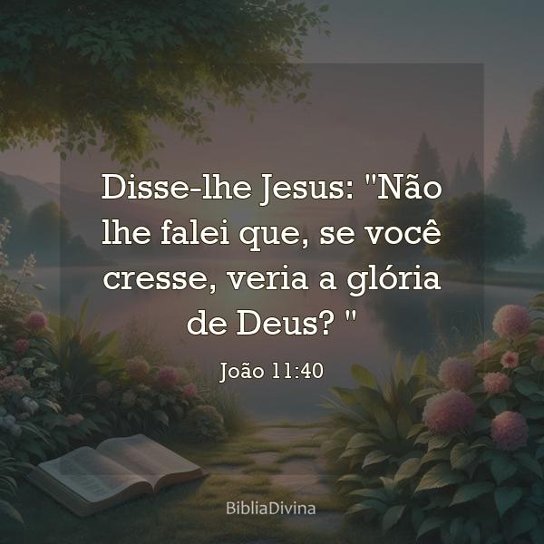 João 11:40