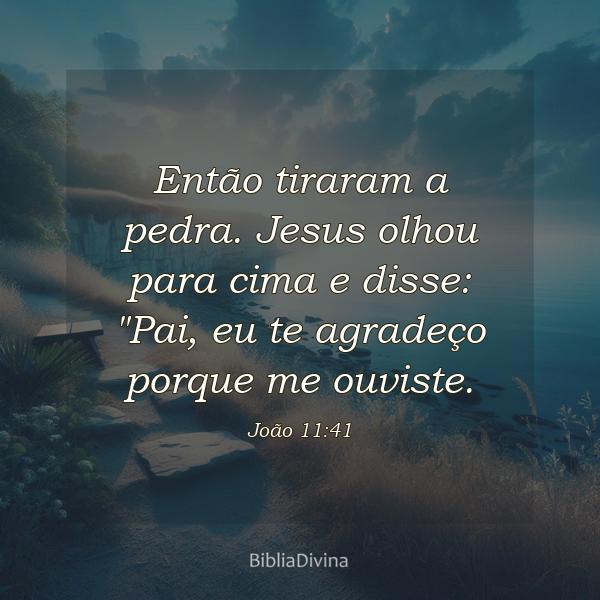 João 11:41