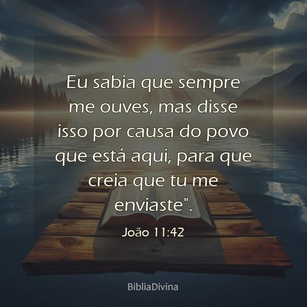 João 11:42