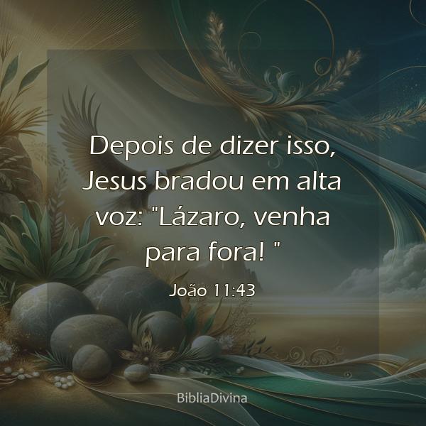 João 11:43