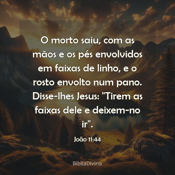 João 11:44