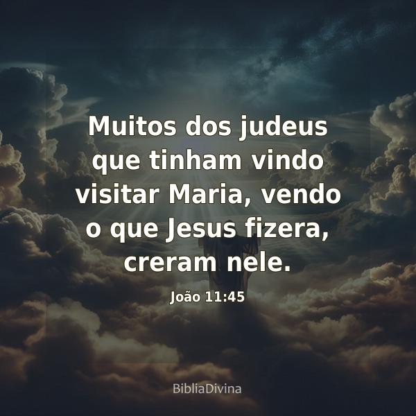 João 11:45