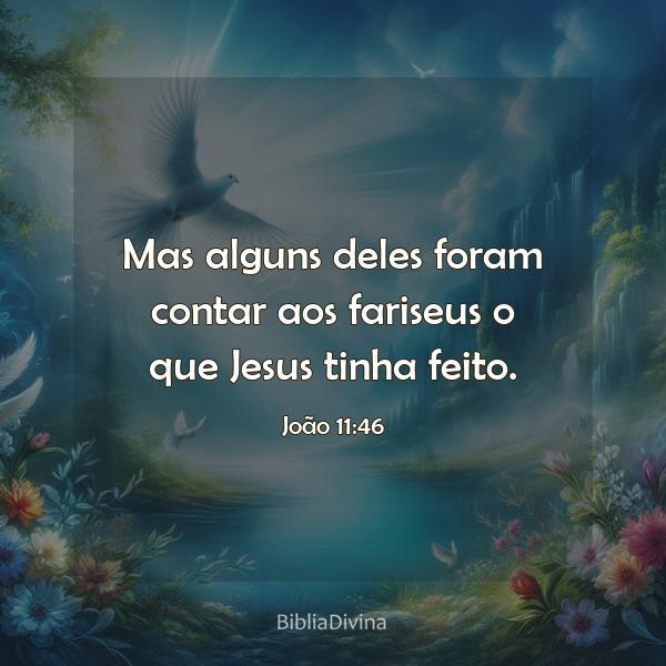 João 11:46