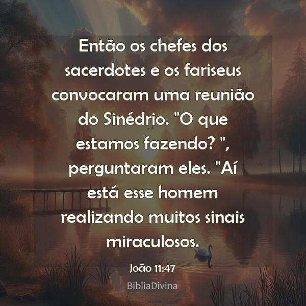 João 11:47