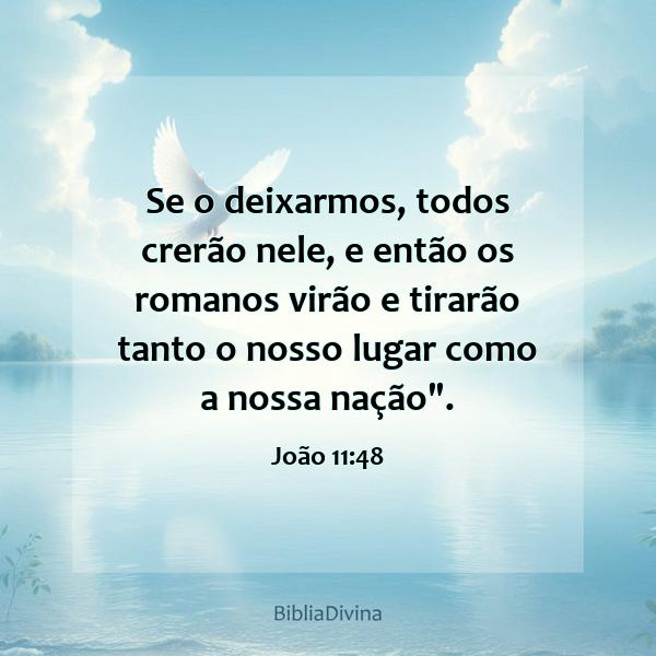 João 11:48