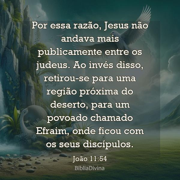 João 11:54