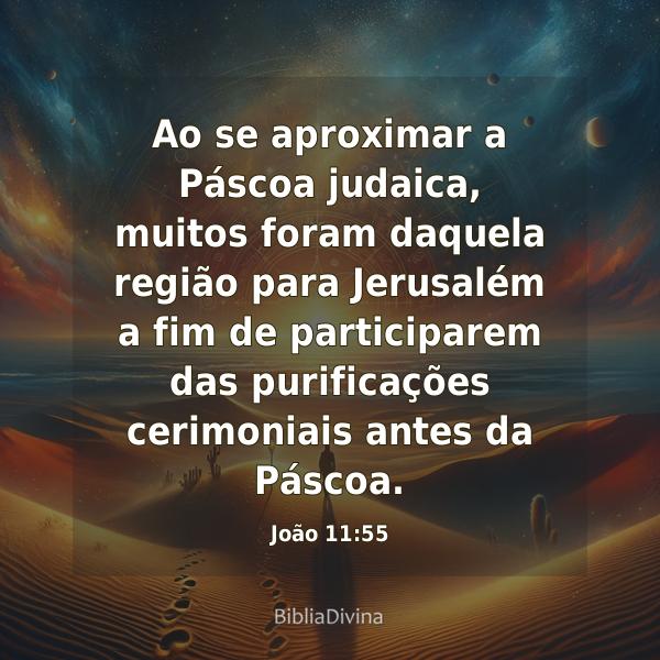 João 11:55