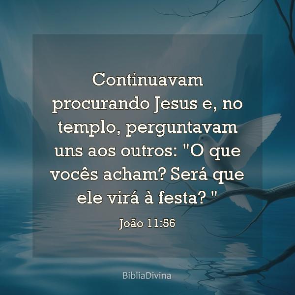 João 11:56