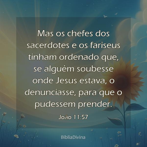 João 11:57