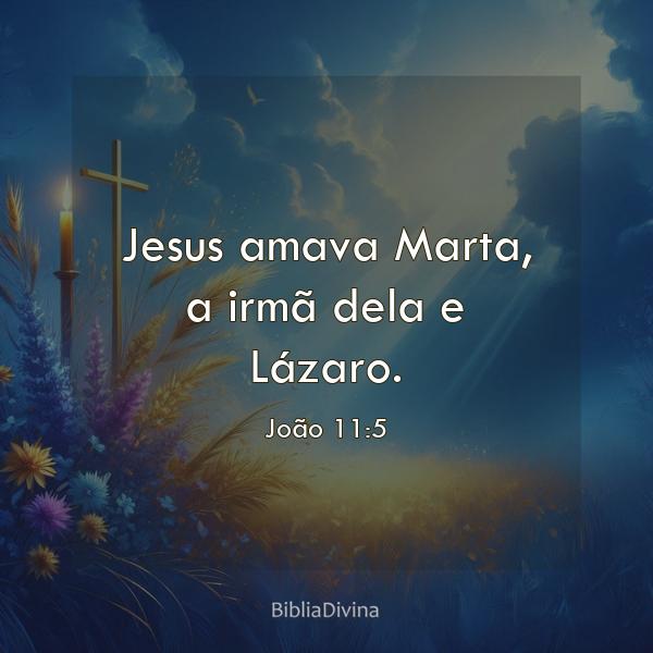 João 11:5