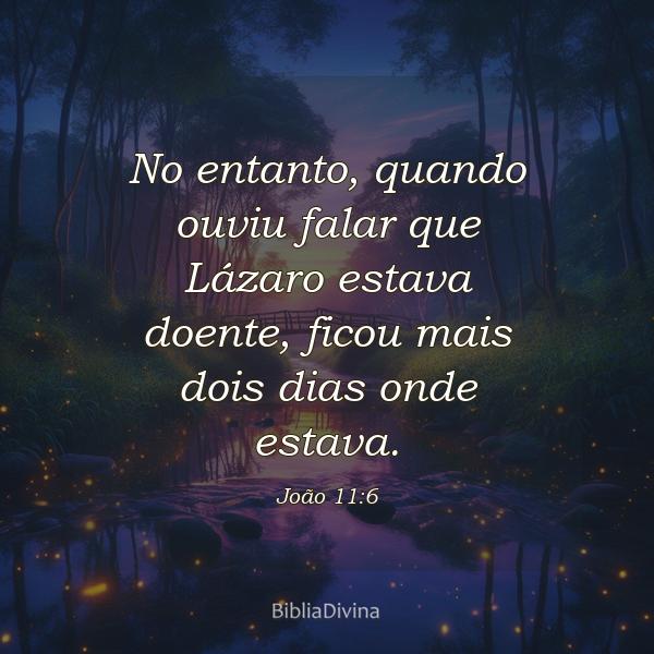 João 11:6