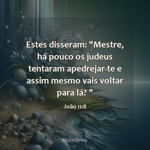 João 11:8