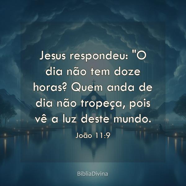 João 11:9