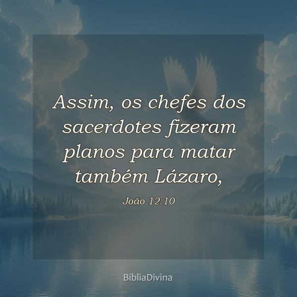 João 12:10