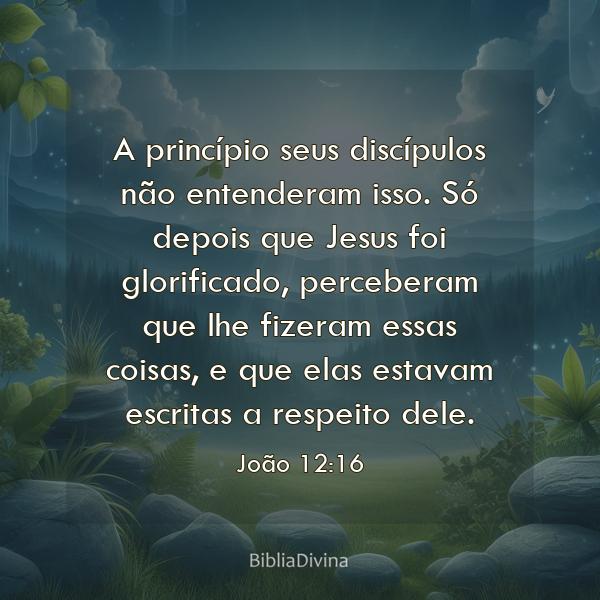 João 12:16