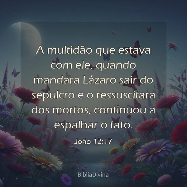 João 12:17