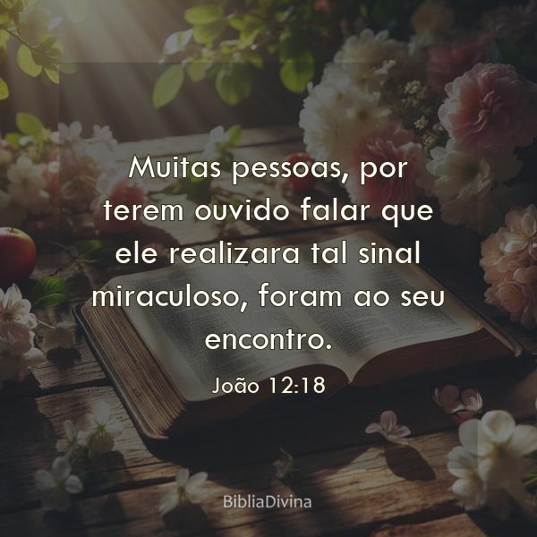 João 12:18