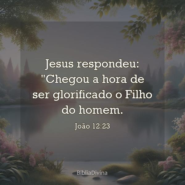 João 12:23