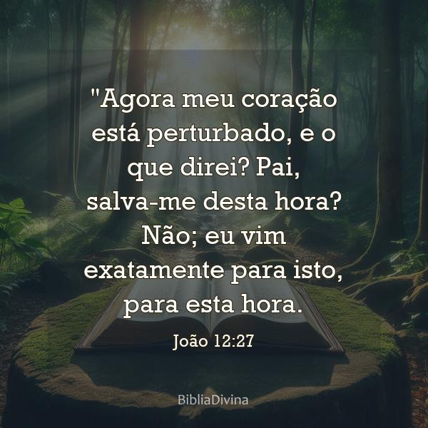 João 12:27