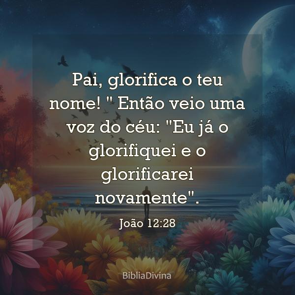 João 12:28