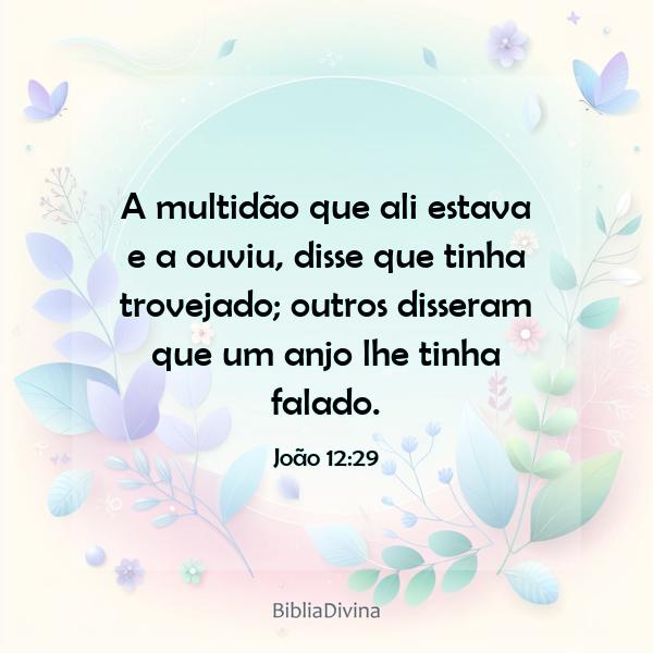 João 12:29