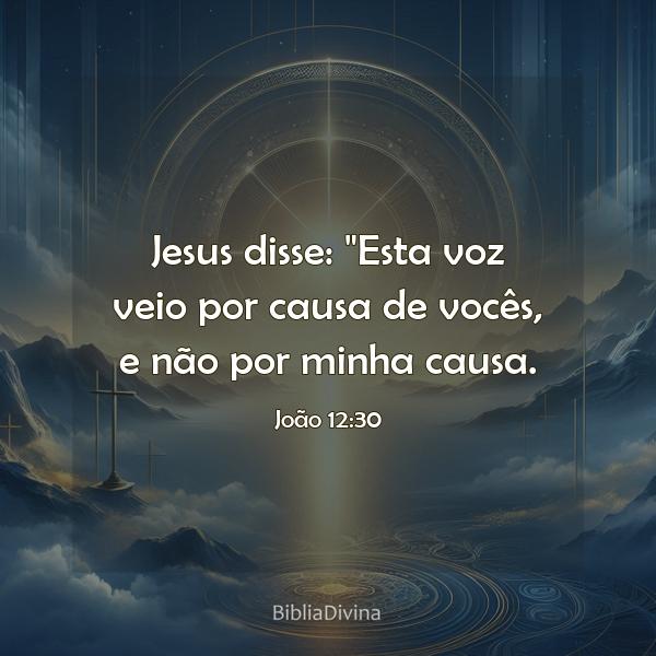 João 12:30