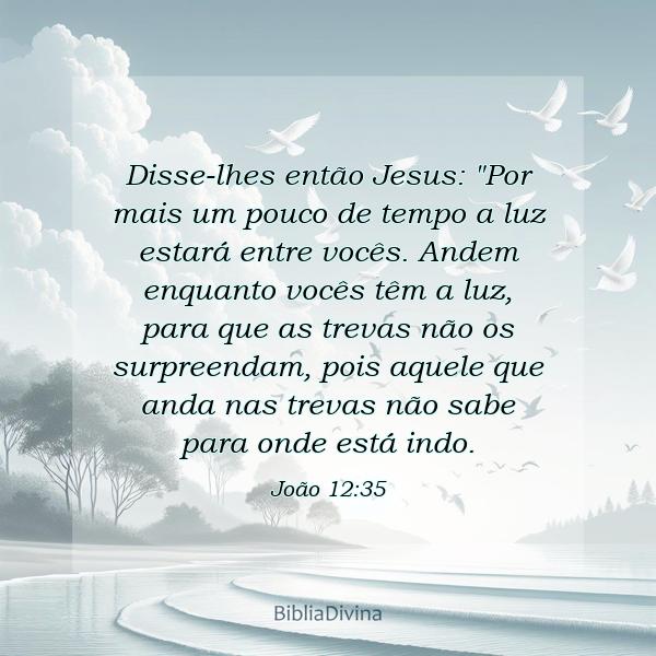 João 12:35