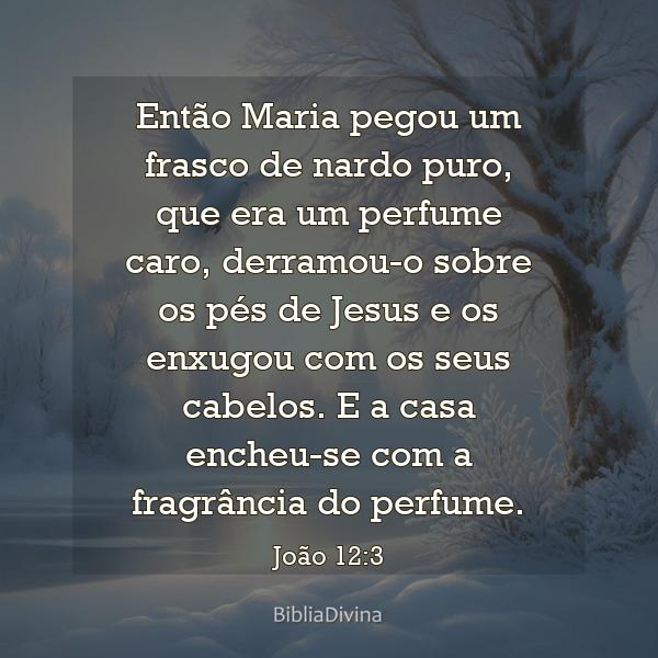 João 12:3