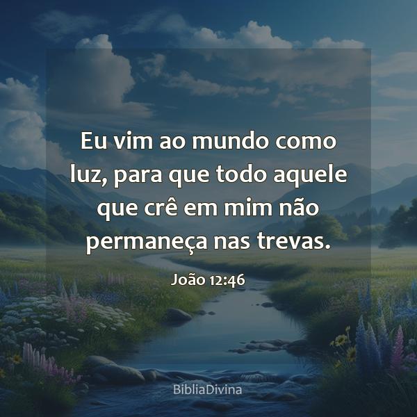 João 12:46