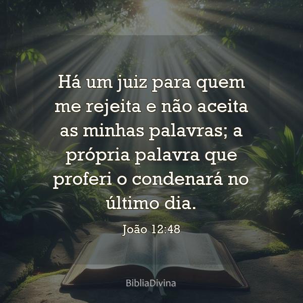 João 12:48